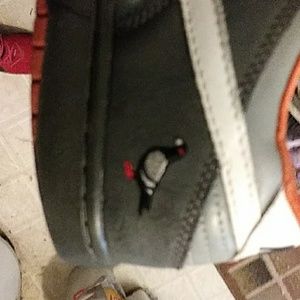 Nike pigeon SB's